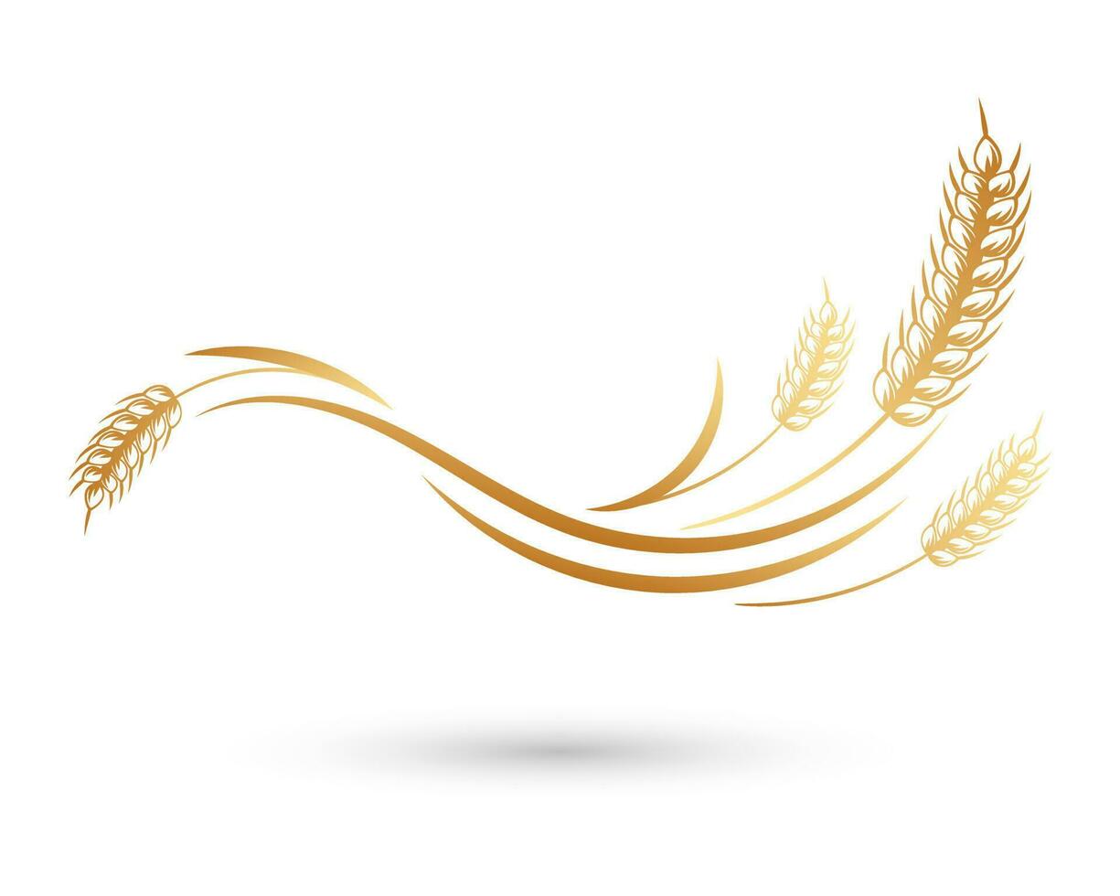 Spikelets of wheat, rye, barley. Golden icon, elegant design, vector