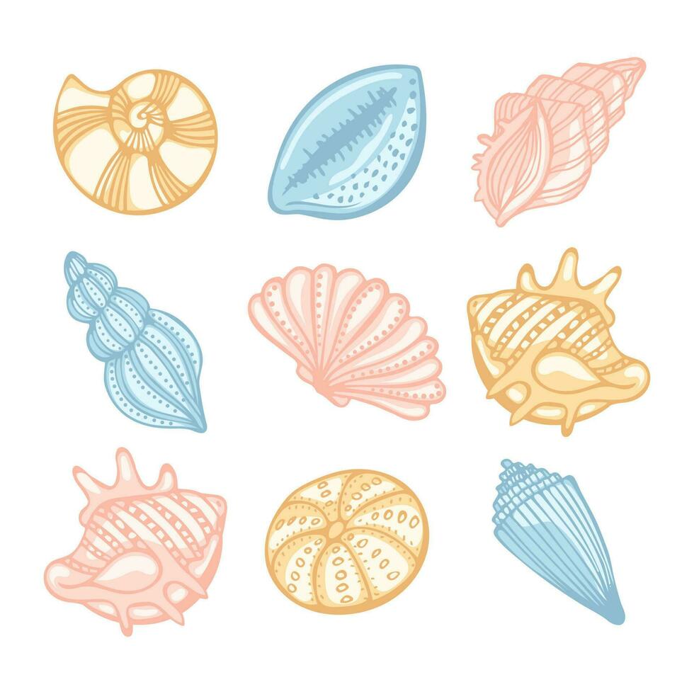 Set of sea shells in pastel colors on a white background. Decor elements, vector