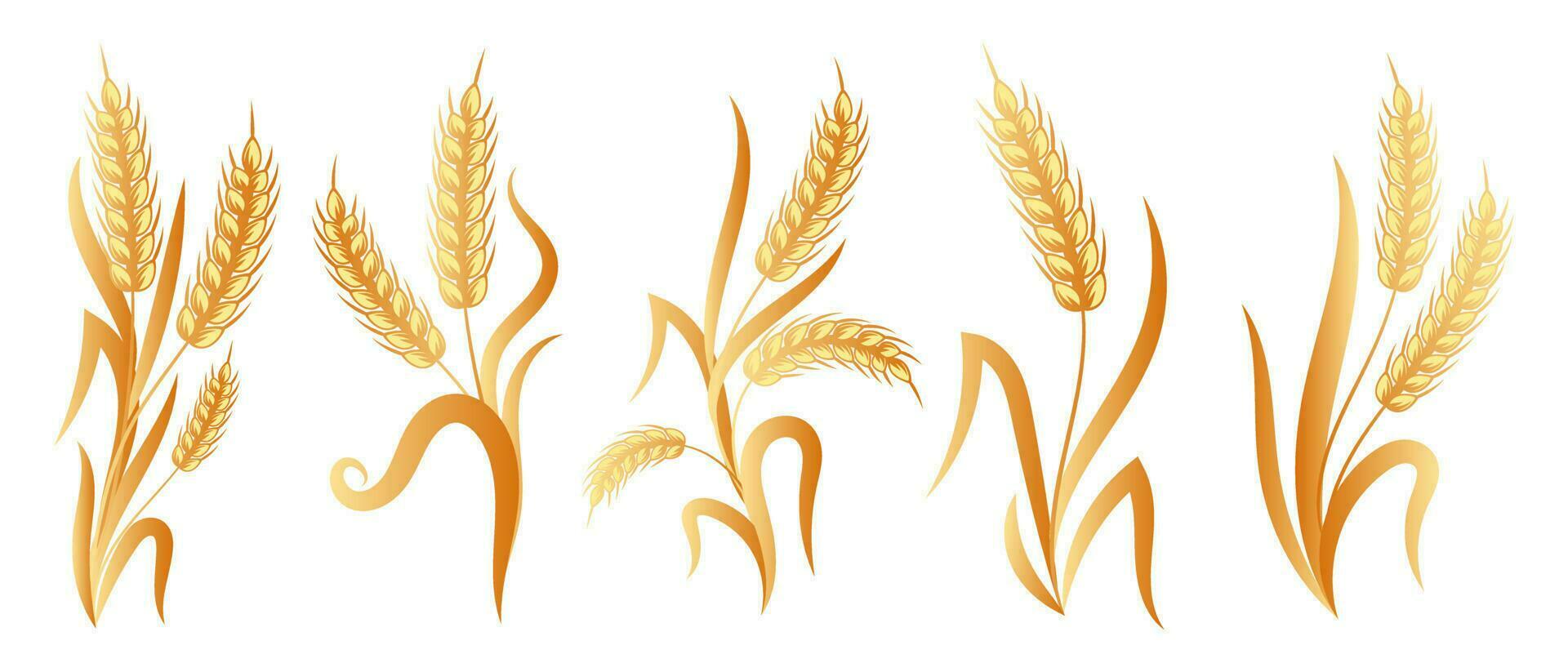 Set of logos from spikelets of wheat, rye, barley, golden design. Decor elements, icons, vector