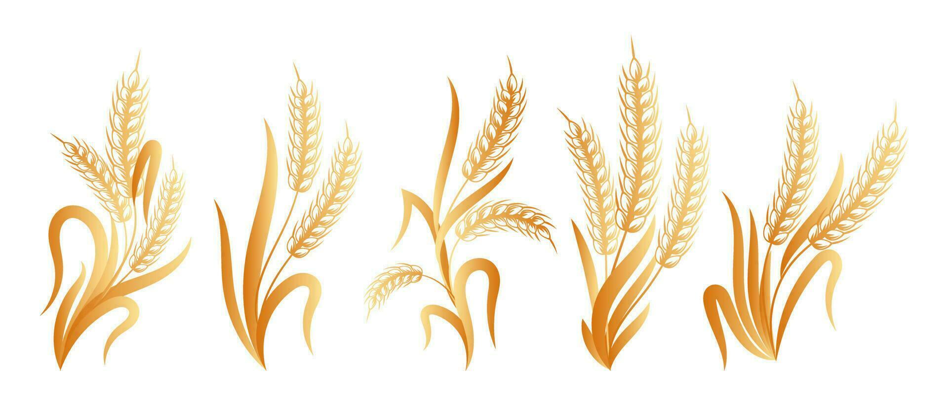 Set of logos from spikelets of wheat, rye, barley, golden design. Decor elements, icons, vector