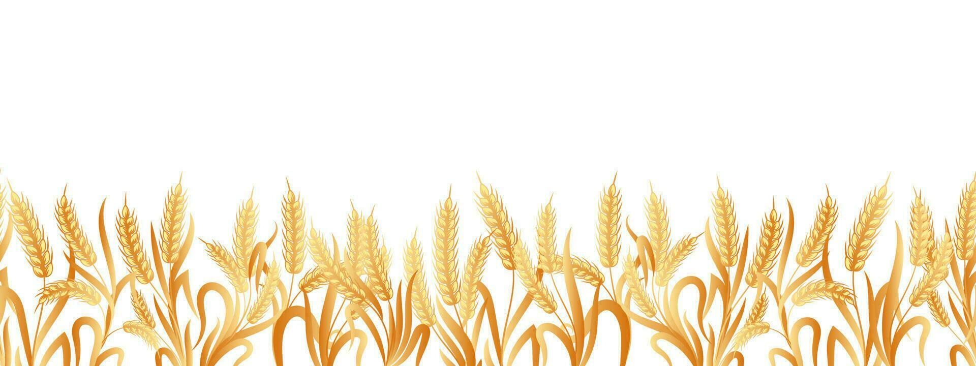 Seamless border of spikelets of wheat, rye, barley with copy space. Background, vector