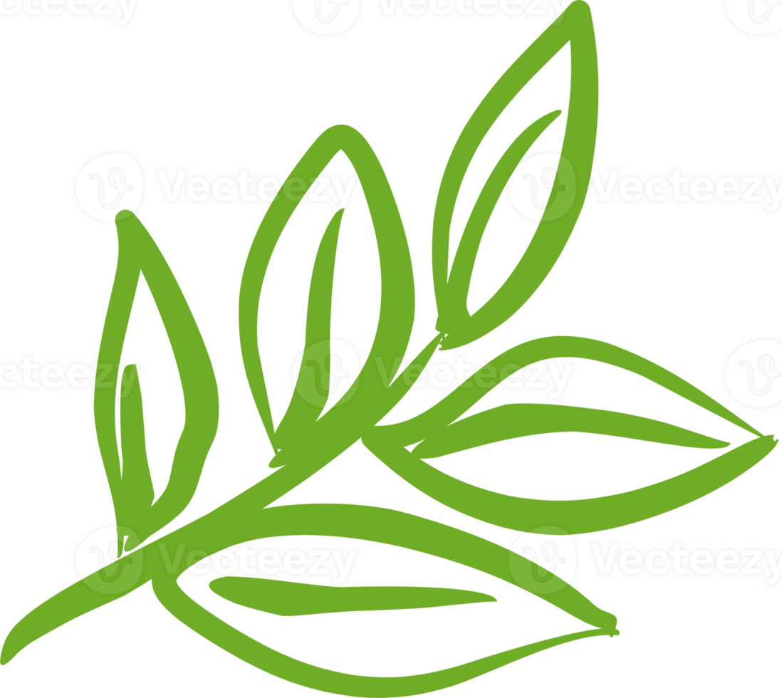 Green tea leaf PNG 23333857 PNG
