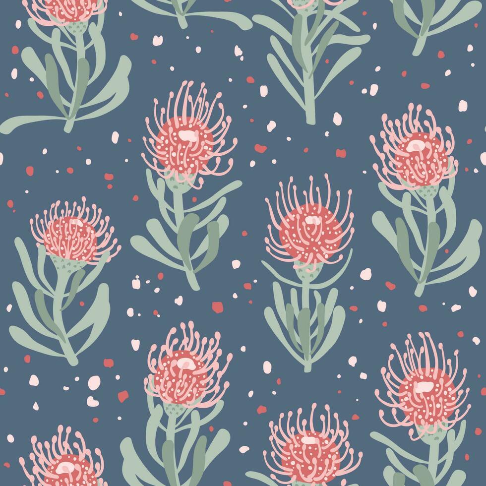 Seamless pattern with hand drawn protea flowers and dots. Botanical background vector