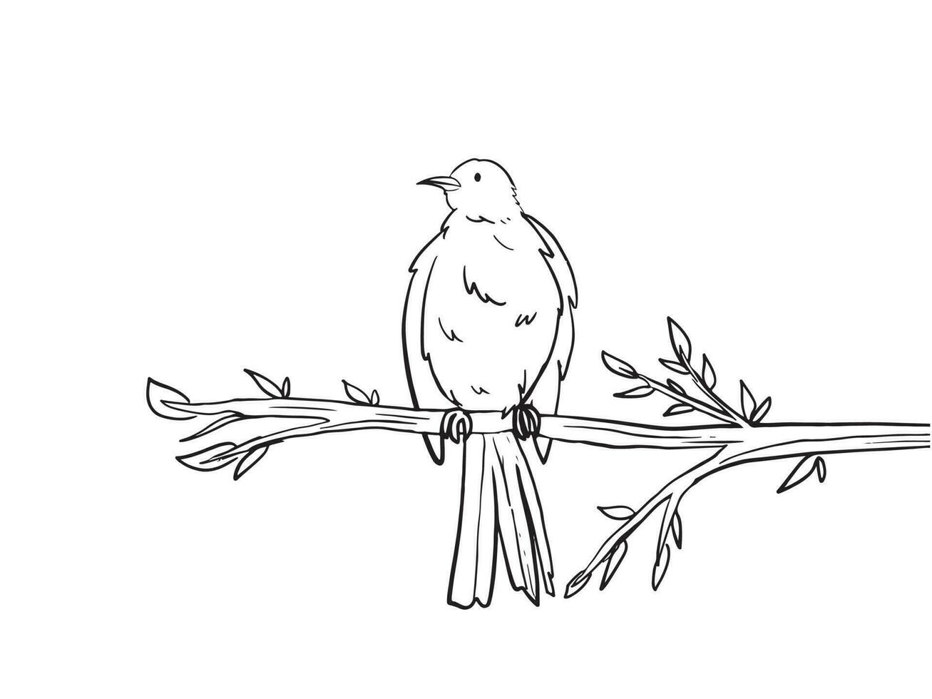 Cute bird vector illustration standing on top of tree branch. Outlined drawing isolated on white landscape horizontal background. Animal themed drawing with simpel flat art style.