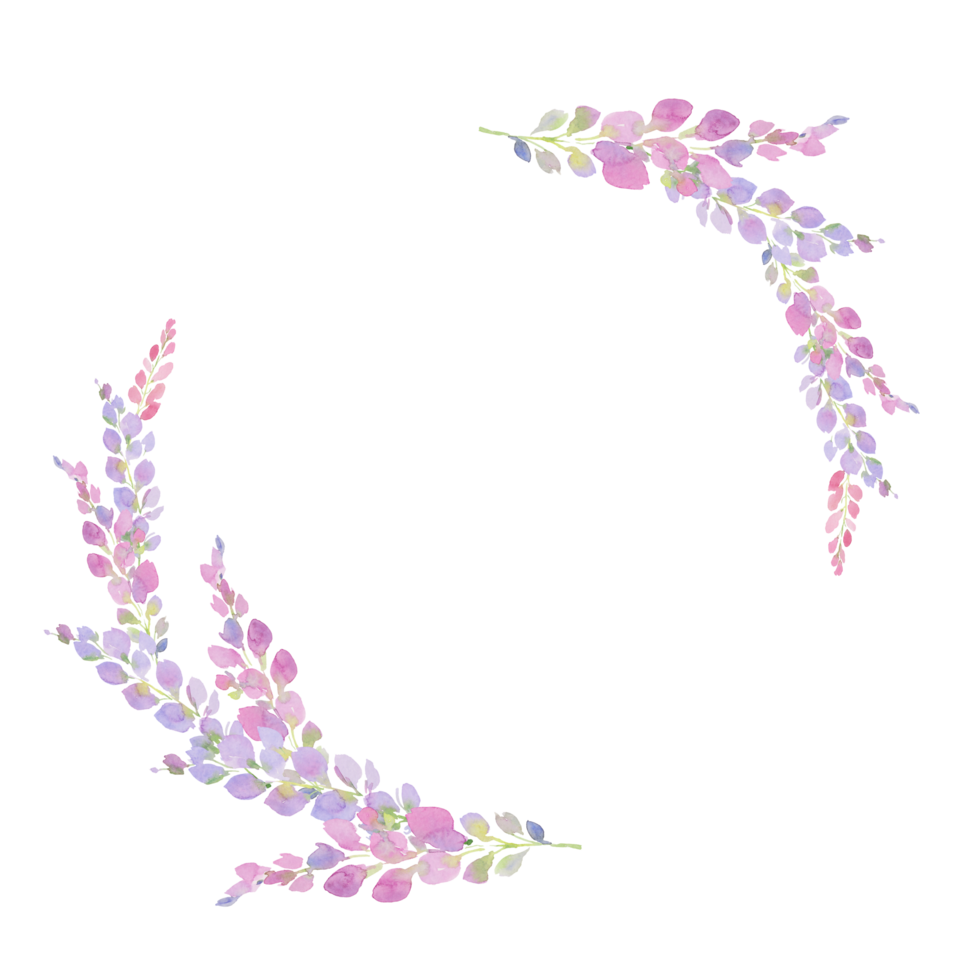 pink and purple wisteria frame,  branches and flowers, watercolor illustration. png