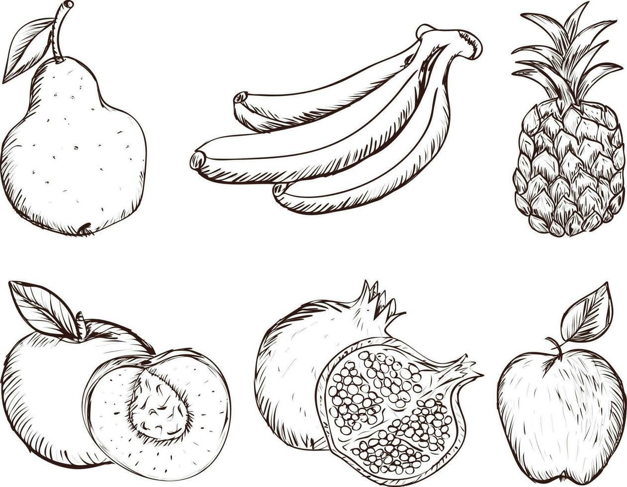 set of fruits. Set of hand drawn fruits. Vector illustration isolated on white background.