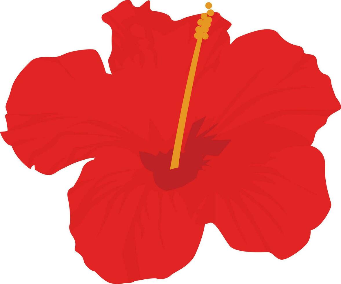 red poppy flower. Hibiscus flower isolated on white background. Vector illustration.