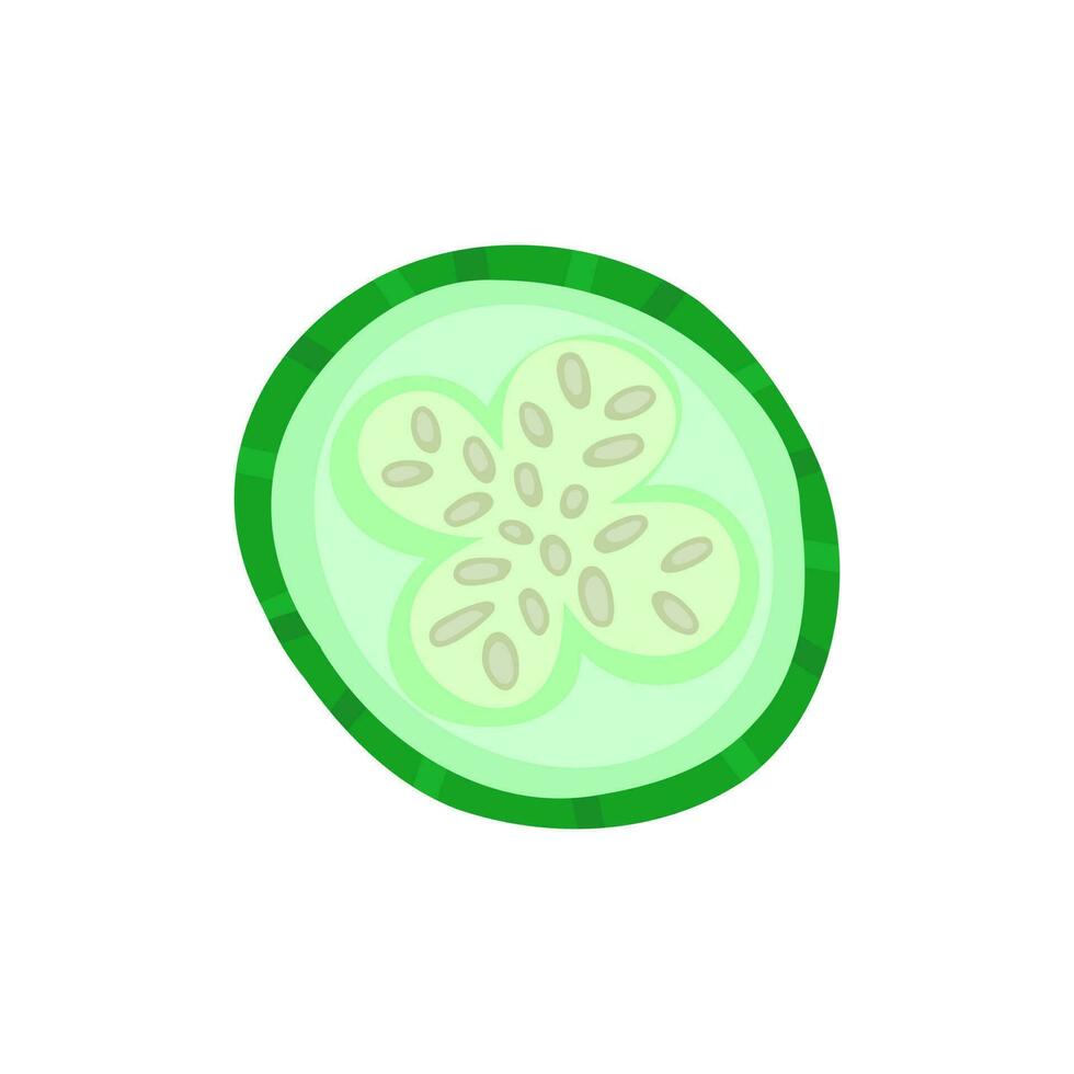 slice of cucumber, cross section with seeds. Illustration for printing, backgrounds and packaging. Image can be used for greeting cards, posters and stickers. Isolated on white background. vector