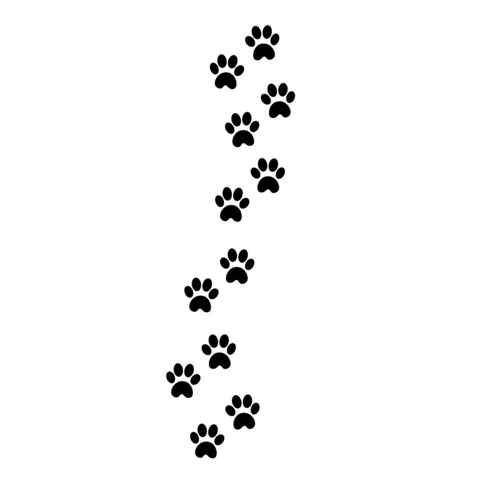 Cat footprints. Illustration for printing, backgrounds, covers and packaging. Image can be used for greeting cards, posters, stickers and textile. Isolated on white background. vector