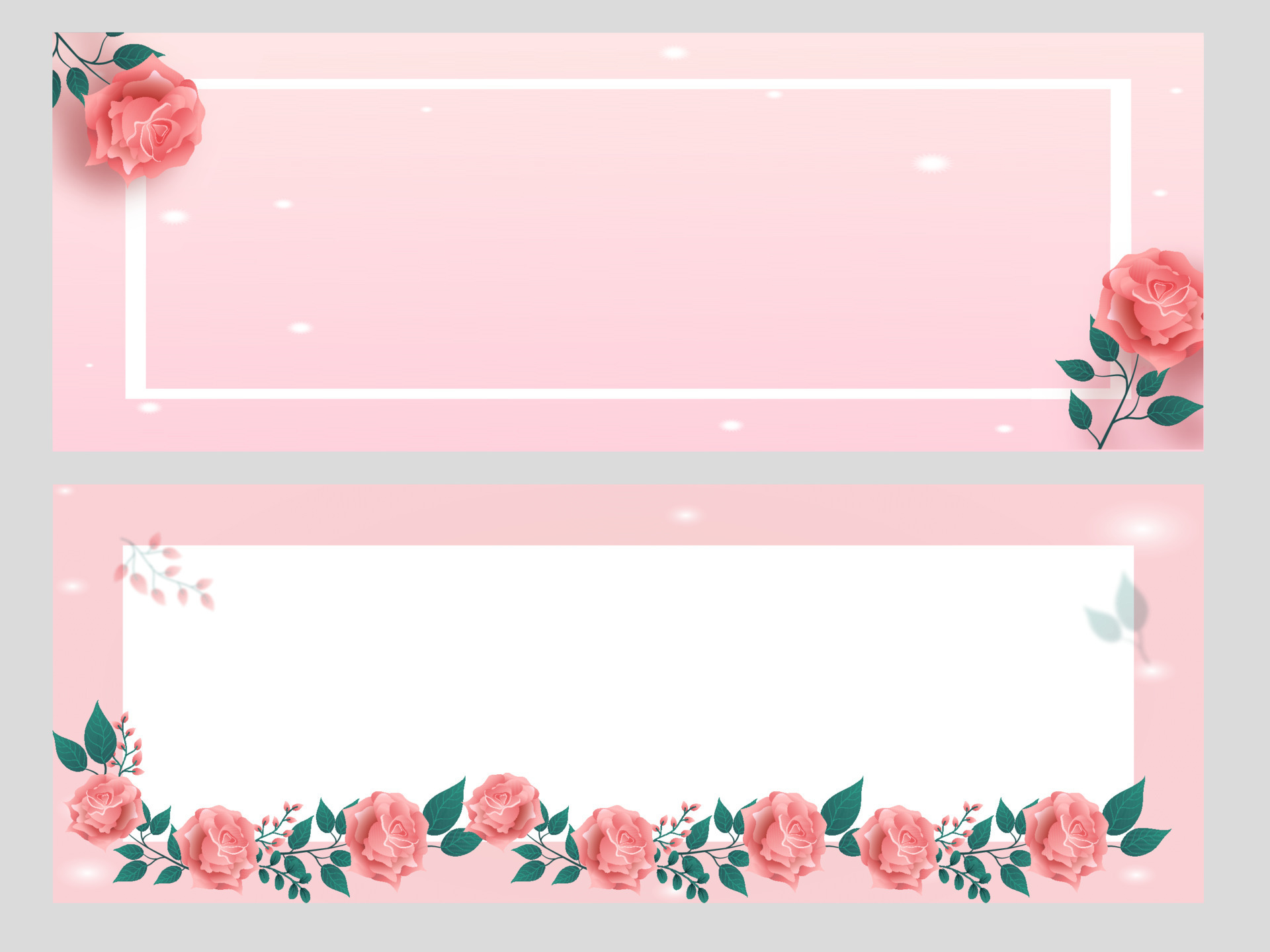 Pastel Pink And White Header Or Banner Decorated From Rose Flowers