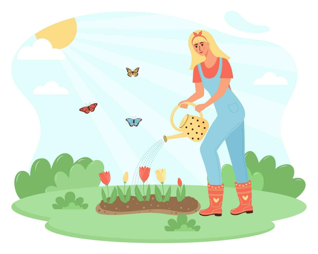 Female gardener watering tulips from a watering can. Girl takes care of garden flowers. vector