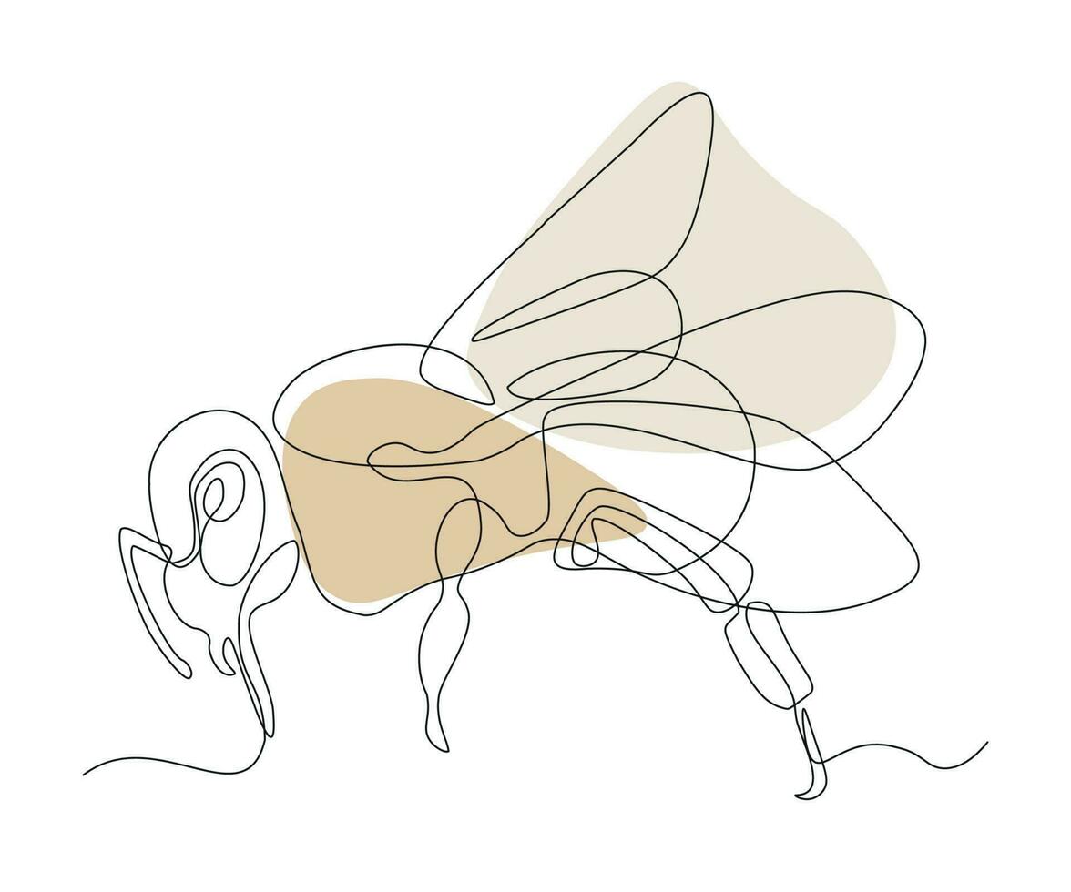 abstract fly, bee, bumblebee Continuous One Line Drawing vector