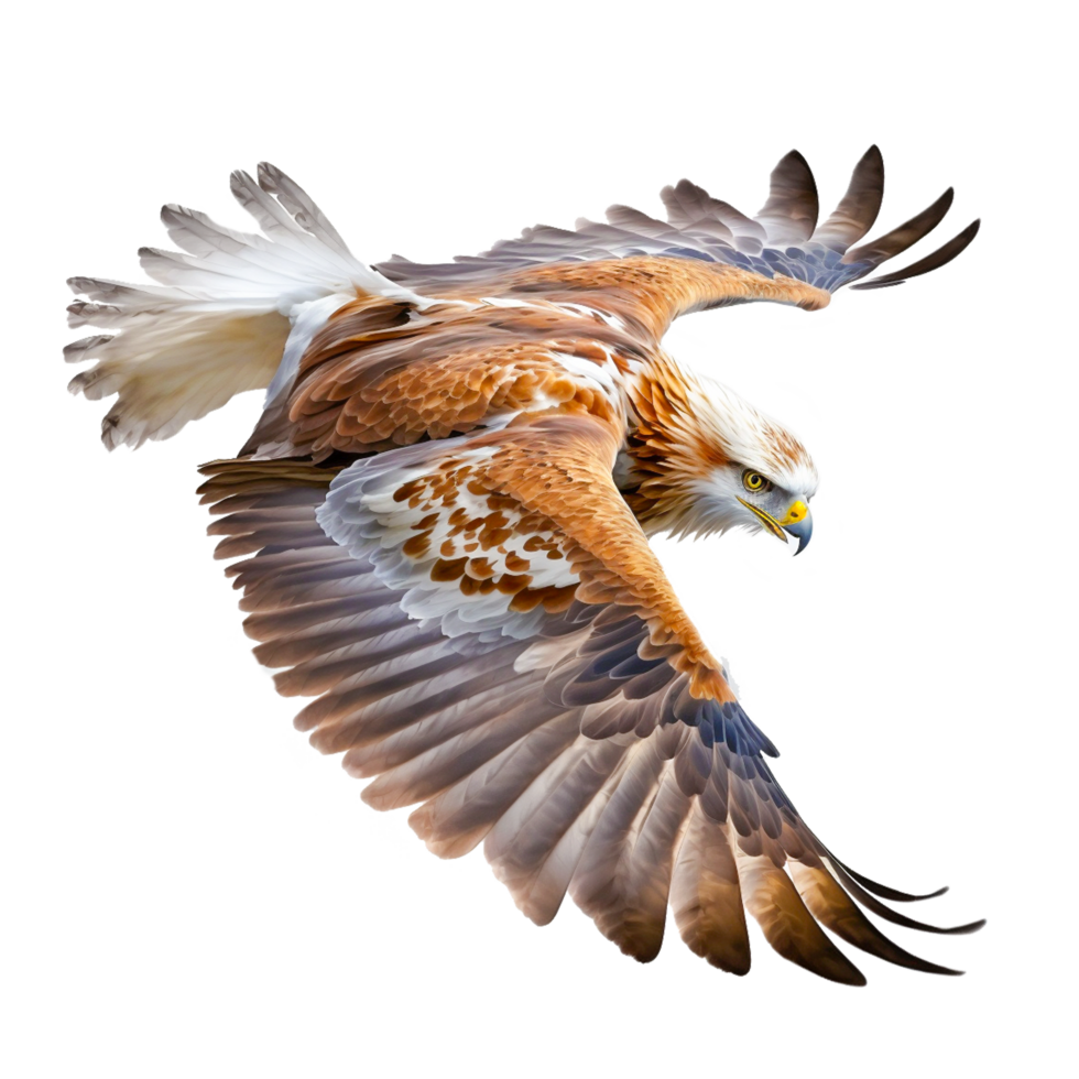 ai generativo dorado águila pájaro gratis ilustracion png