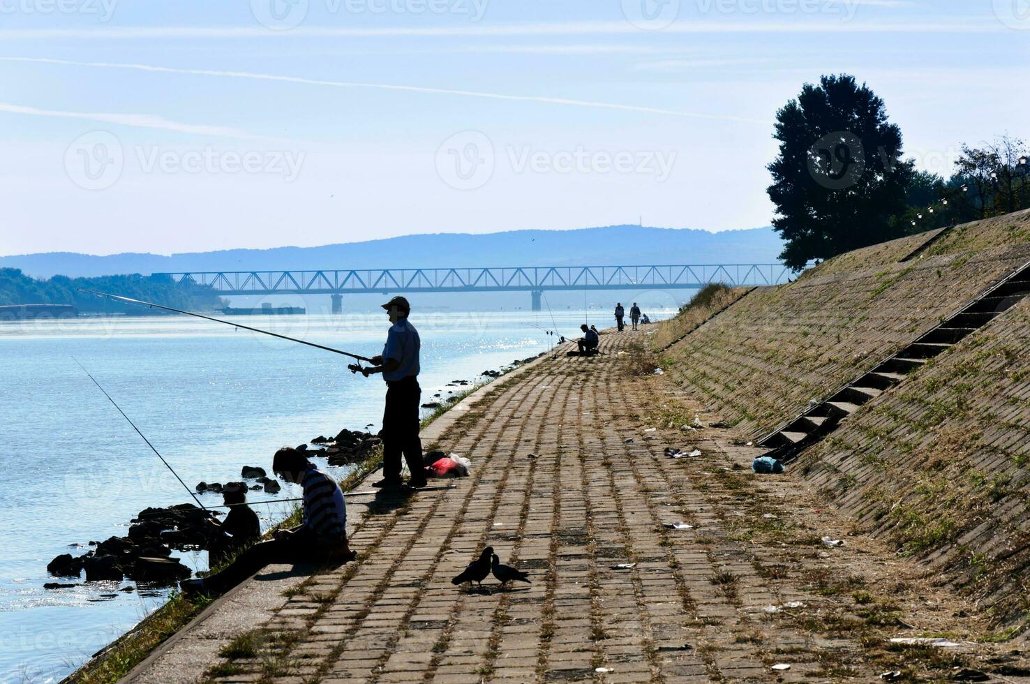 Sunday fishing time photo