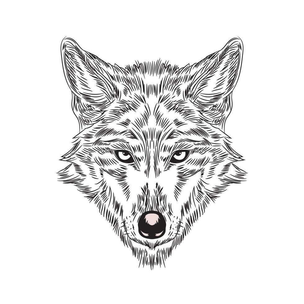 lobo cara vector ilustración en mano dibujado estilo, Perfecto para t camisa diseño y logo