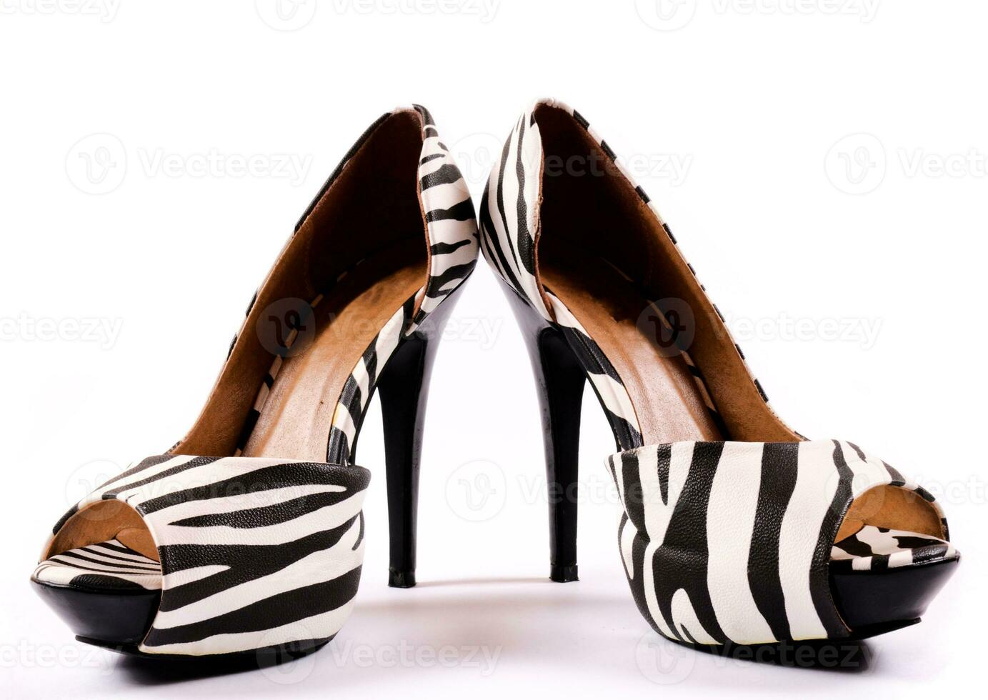 Zebra heels isolated photo