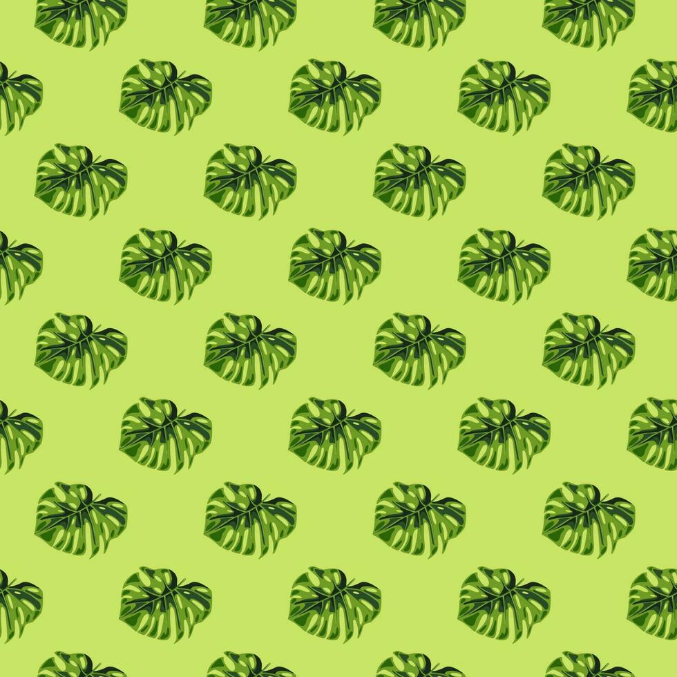 Monstera leaves seamless pattern. Exotic jungle plants endless wallpaper. Leaf background. Hawaiian rainforest floral backdrop. vector