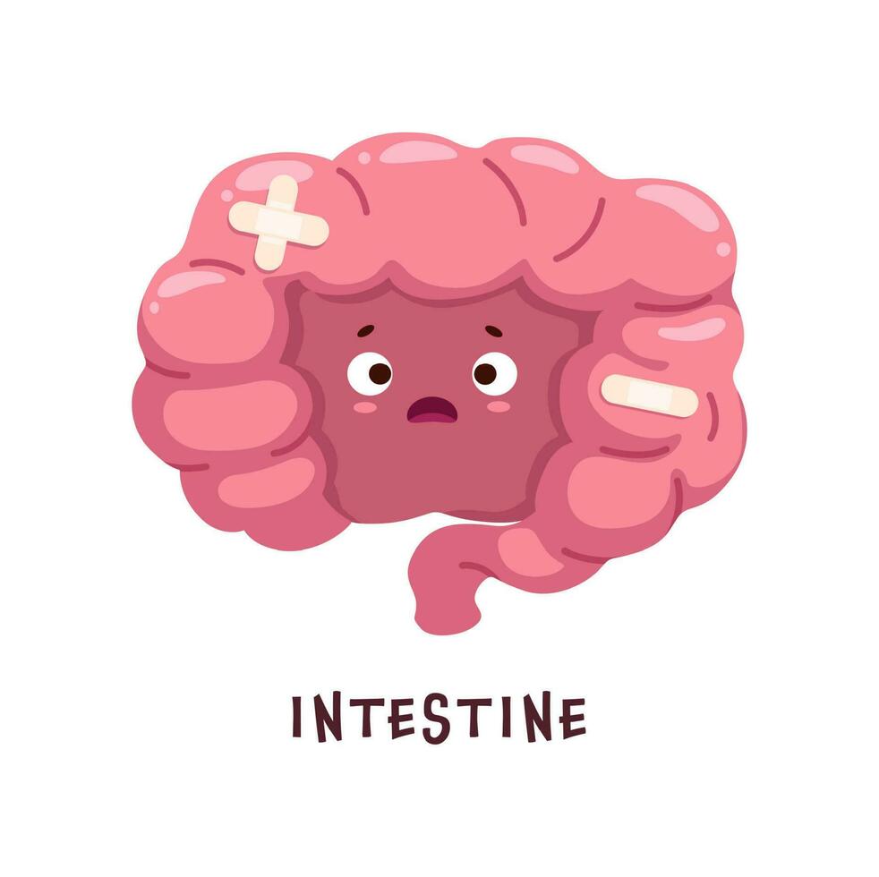 Intestine, sick body organ character or unhealthy vector