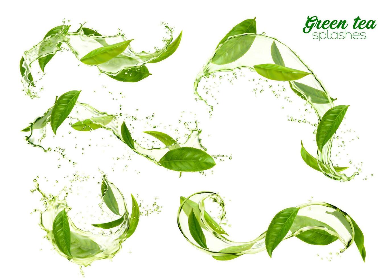 Green tea leaves swirls and splashes, herbal drink vector