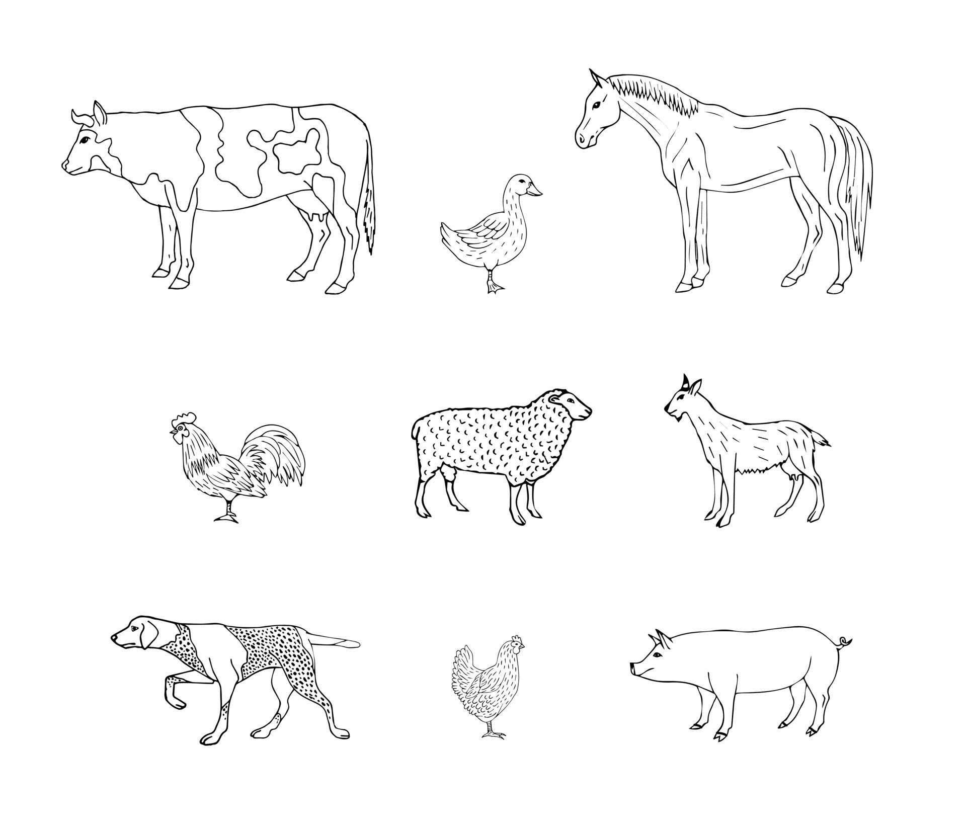 Vector Hand Drawn Set Of Domestic Animals 23340479 Vector Art At Vecteezy