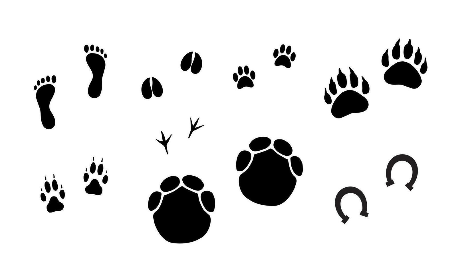 Vector set of different animals foot print
