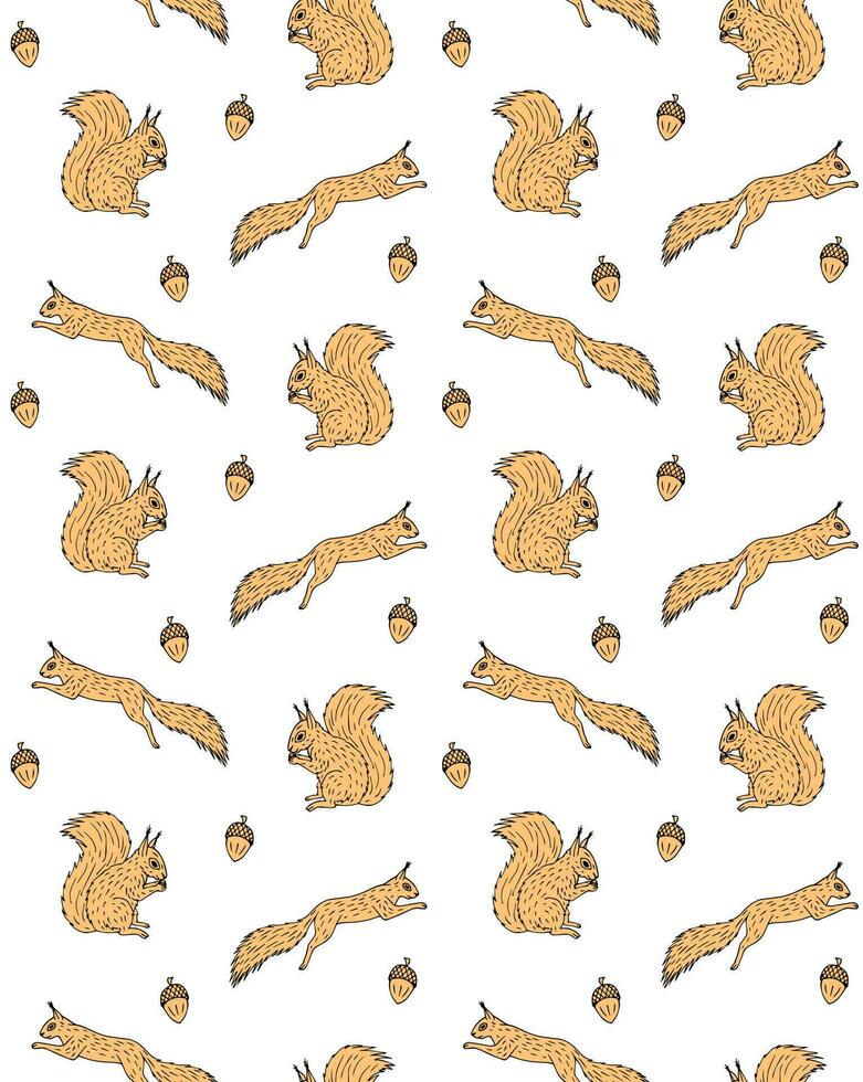 Seamless pattern of hand drawn squirrel vector