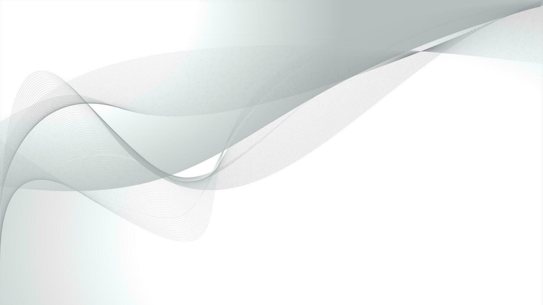 abstract white wavy background vector