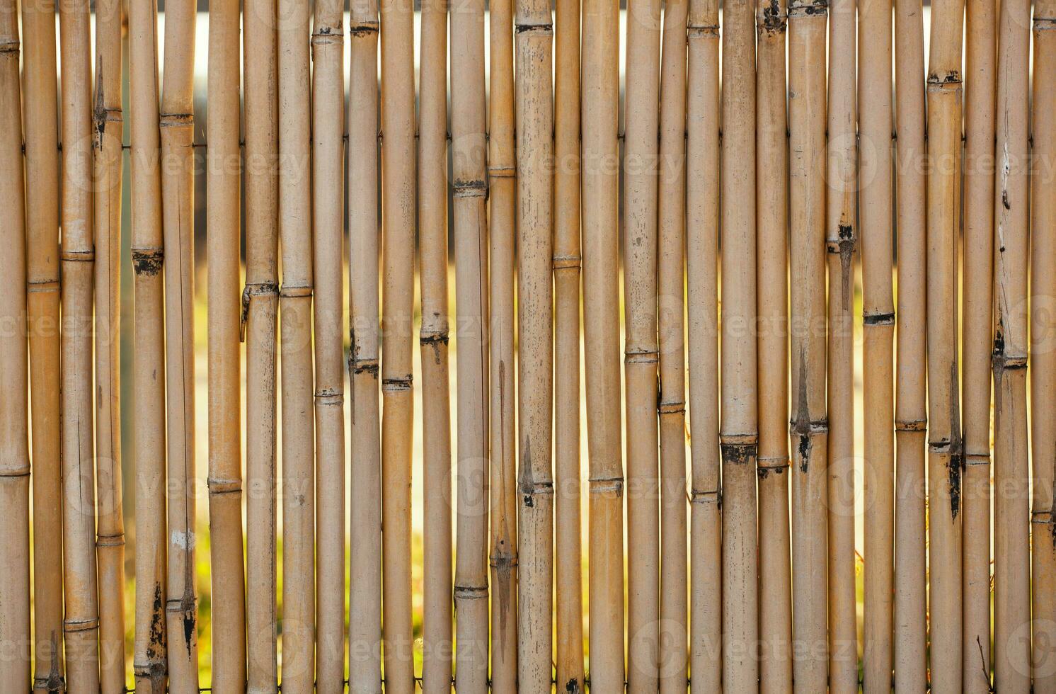 Bamboo fence close up background. photo
