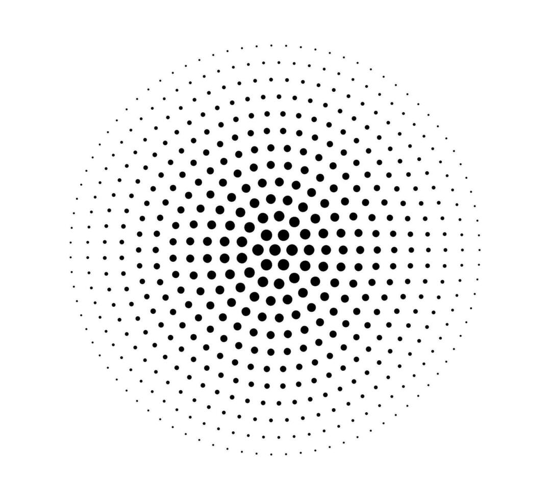 Tone circle 2024