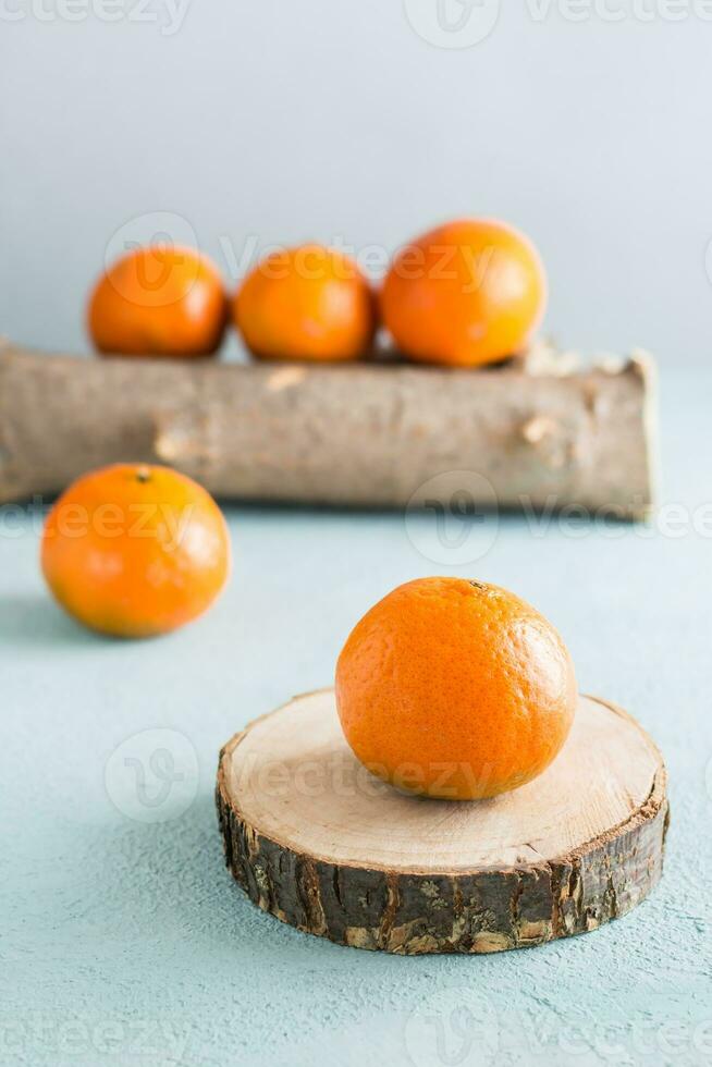Ripe tangerines on a cut of a tree and tangerines on a log on a blue background. Eco-friendly fruits. Vertical view photo