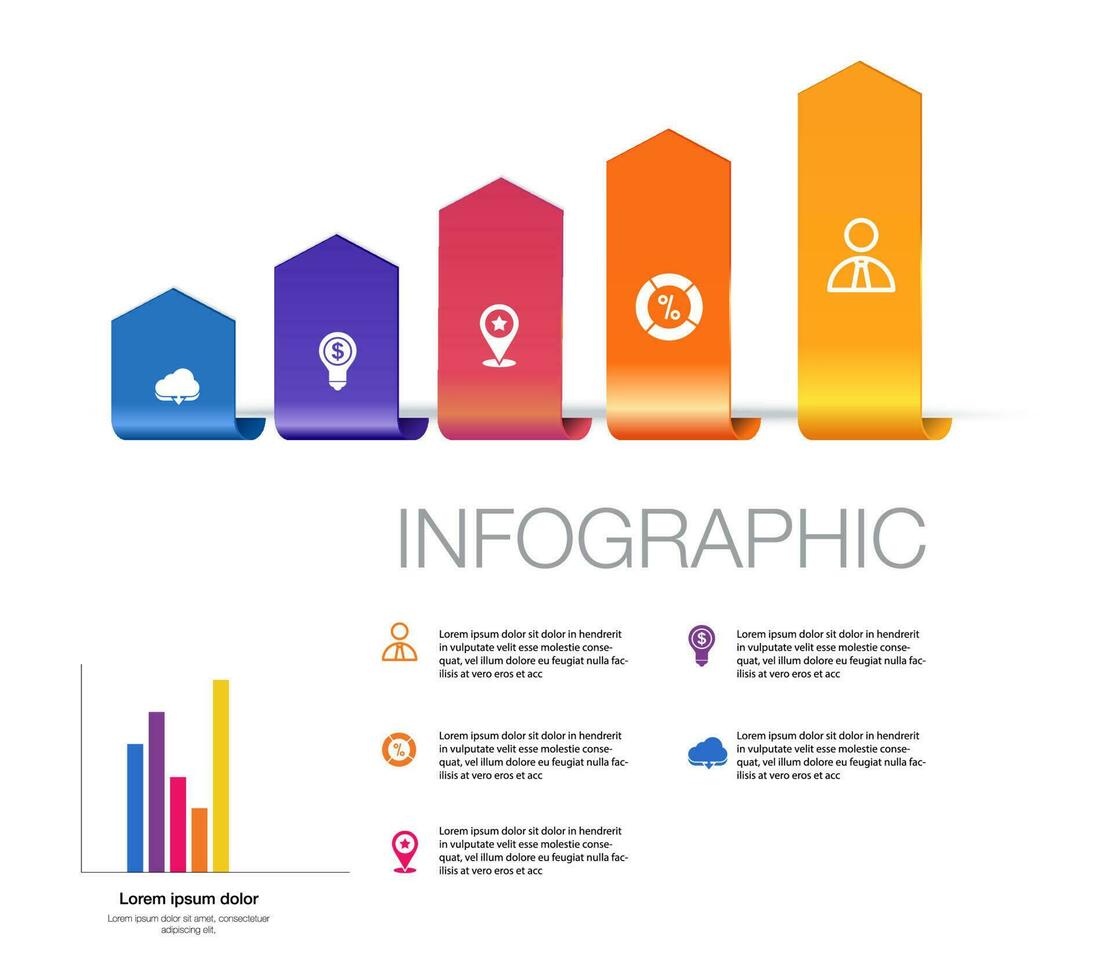 infographic template 5 bar graph vector