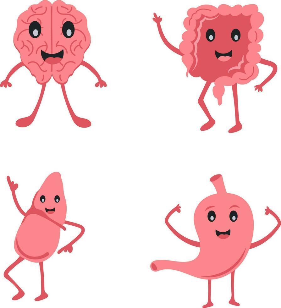 Human Organ Cartoon Character Set Of Brain, Digestive System, Liver and Stomach vector