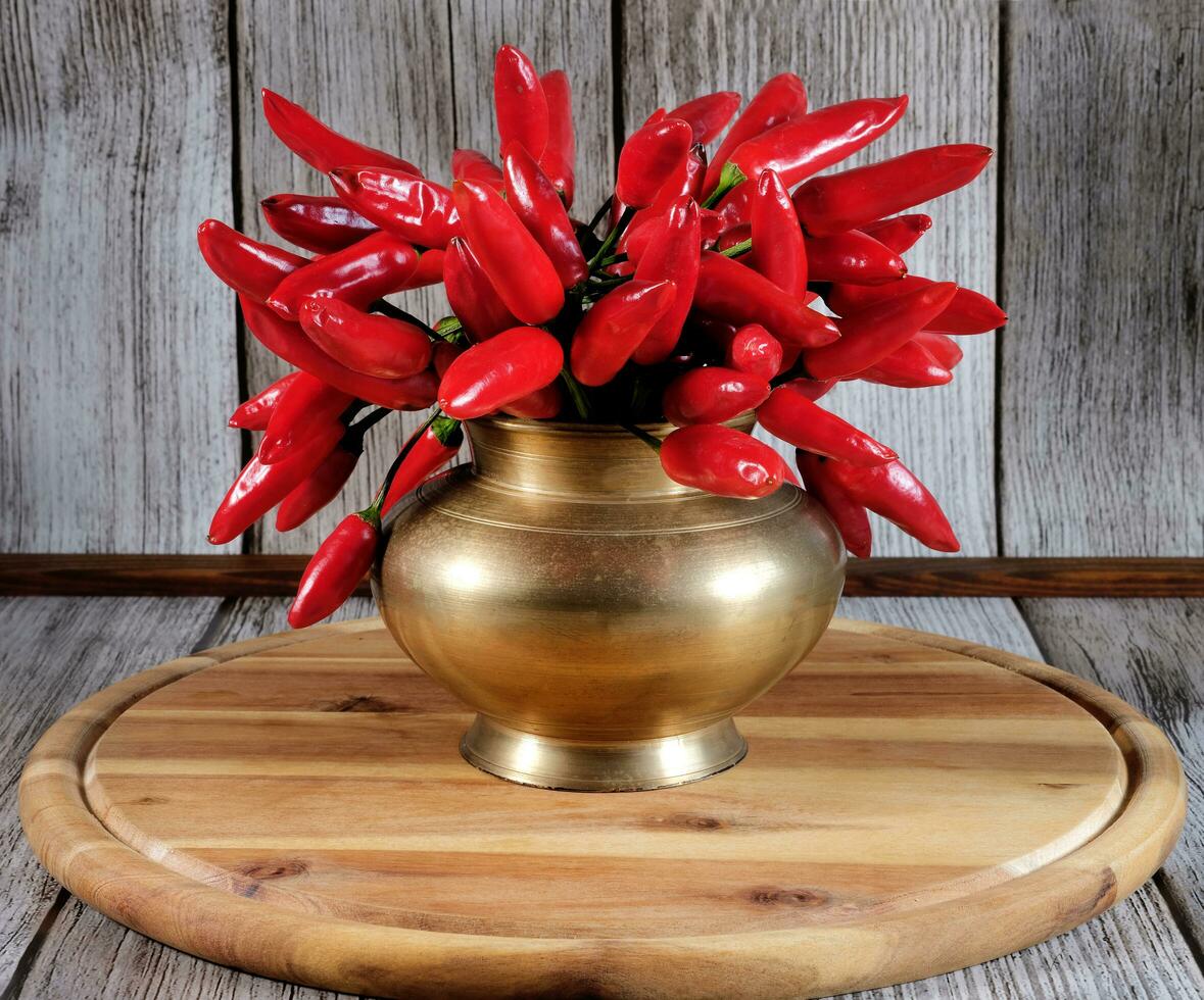 Cervia, Ravenna province, Italy April 18, 2023. Composition of hot red chili peppers in brass pot and artificial light. photo