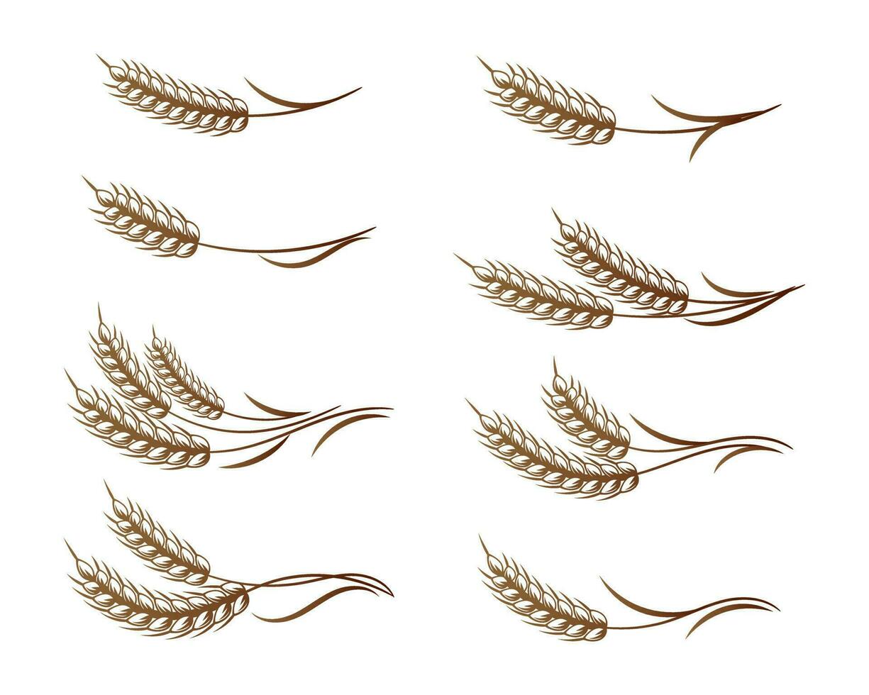 Set of logos from spikelets of wheat, rye, barley, golden design. Decor elements, icons, vector