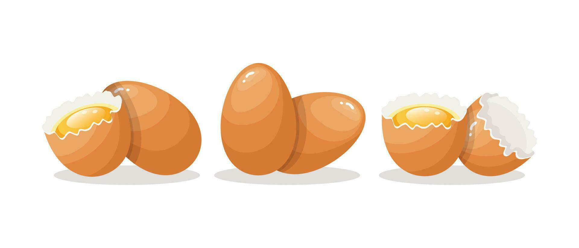 Fresh chicken eggs, set of elements. Brown eggs whole and broken, yolk, shell. Food illustration, vector