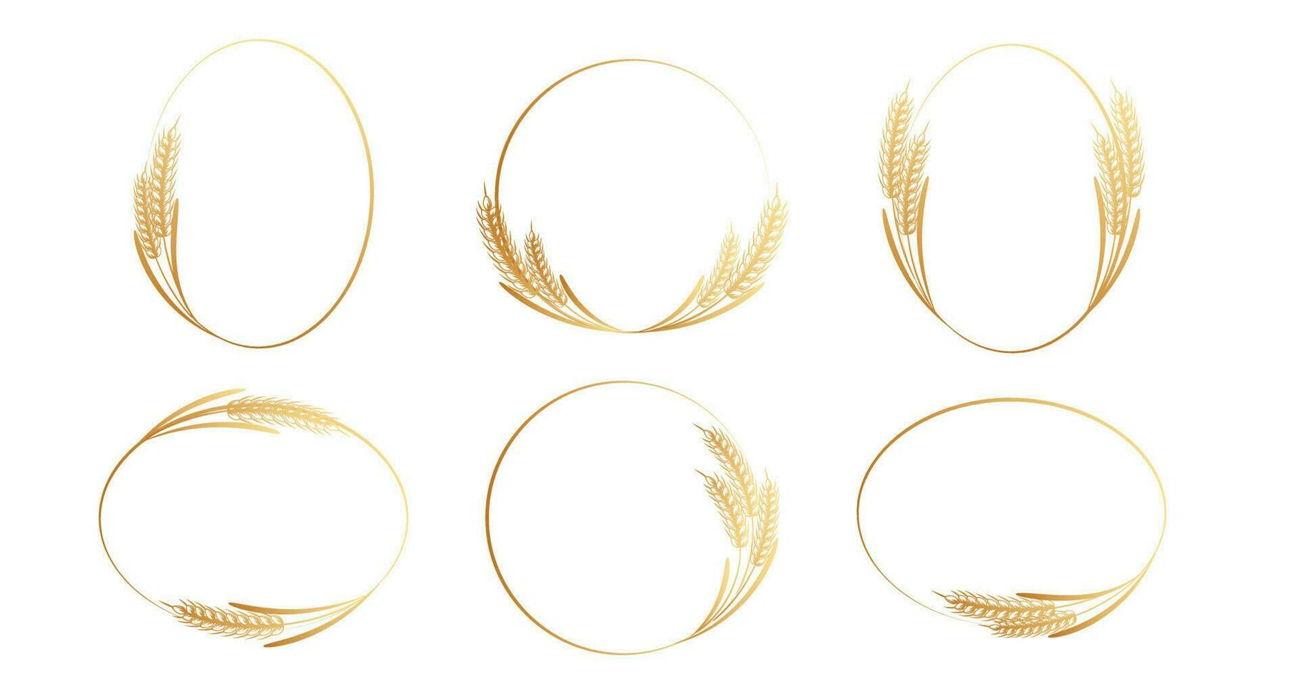 Set of round abstract golden icons of ears of wheat. Logo, icon, template, decor element, vector