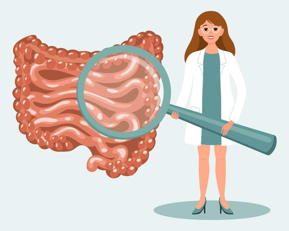 Female doctor with magnifying glass and human intestines. Medical diagnosis of the human digestive system, healthcare concept. Illustration, vector