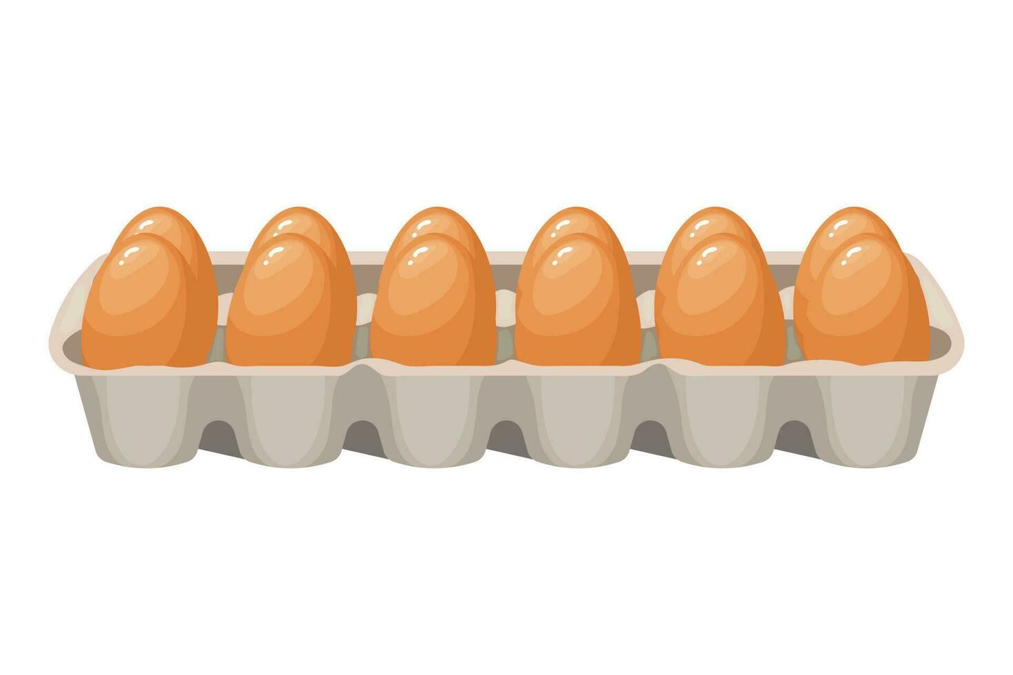 Fresh chicken eggs in a cardboard container, eggs in a box. Food illustration, vector