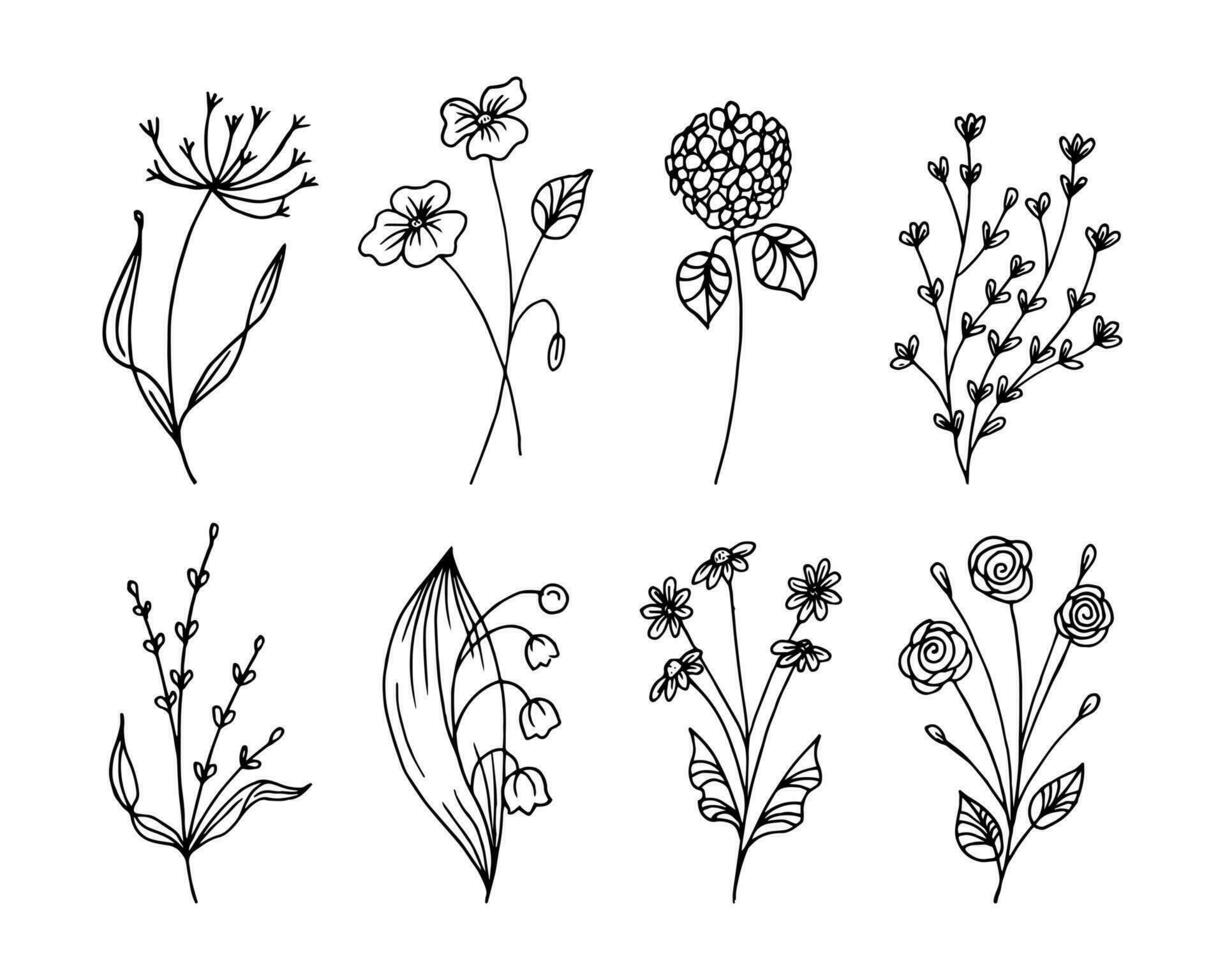 Hand drawn outline flowers, set. Sketch, botanical icons, vector