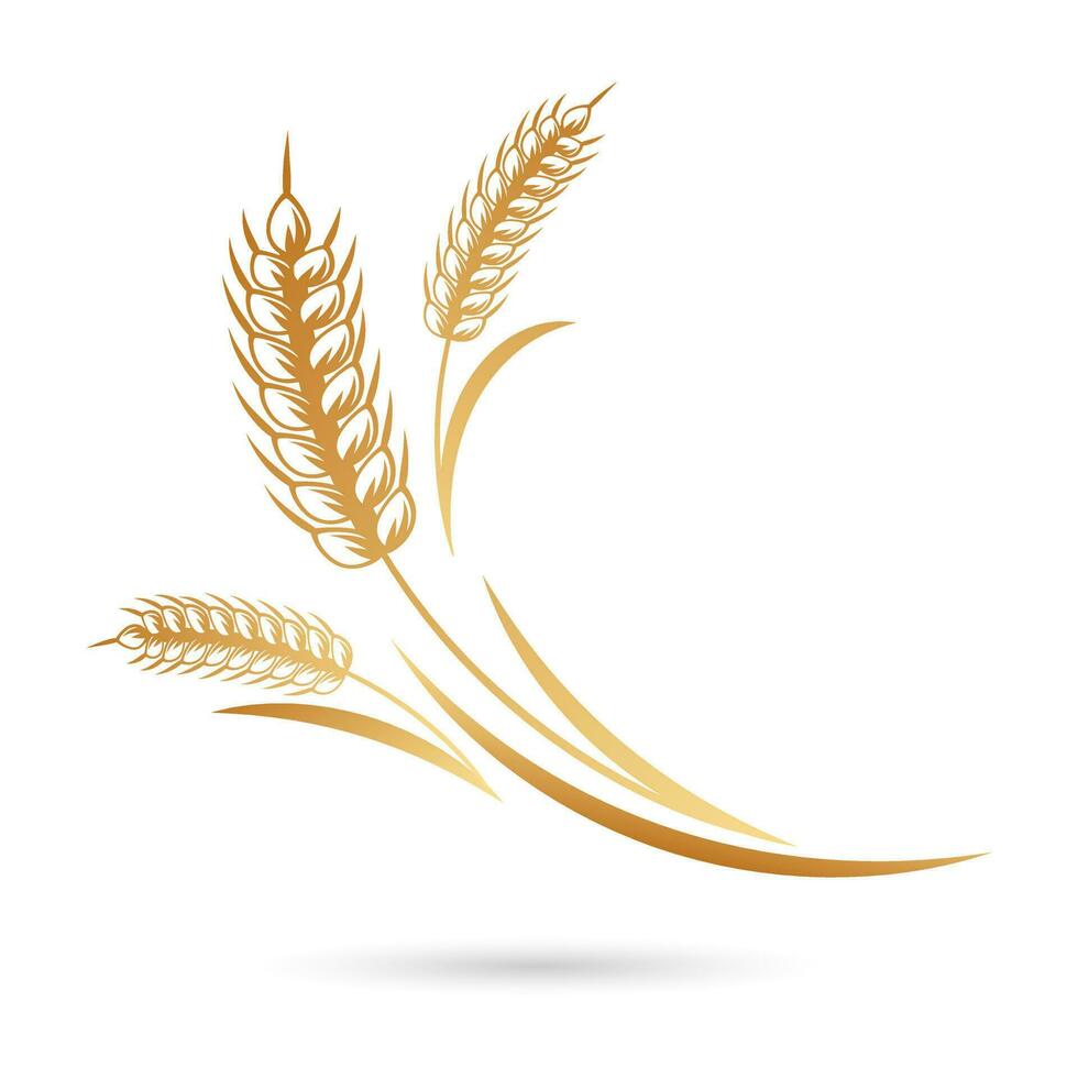 Spikelets of wheat, rye, barley. Golden icon, elegant design, vector