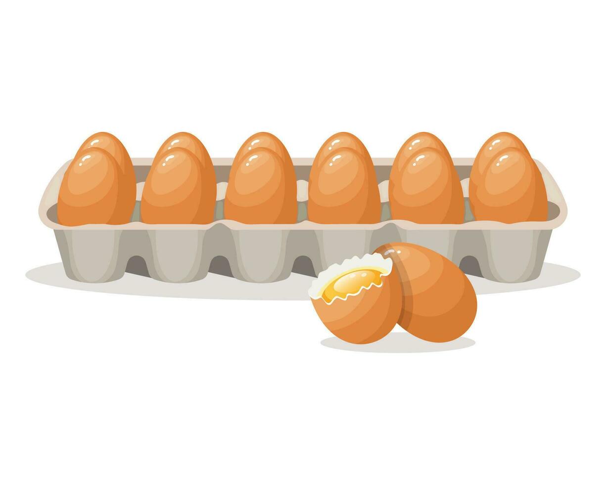 Fresh eggs in a cardboard container and a broken egg, chicken eggs in a box. Food illustration, vector