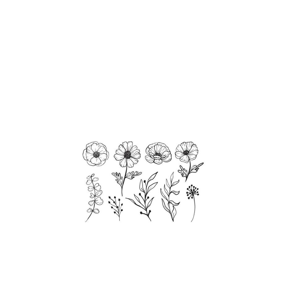 isolated daisy line art floral clipart vector