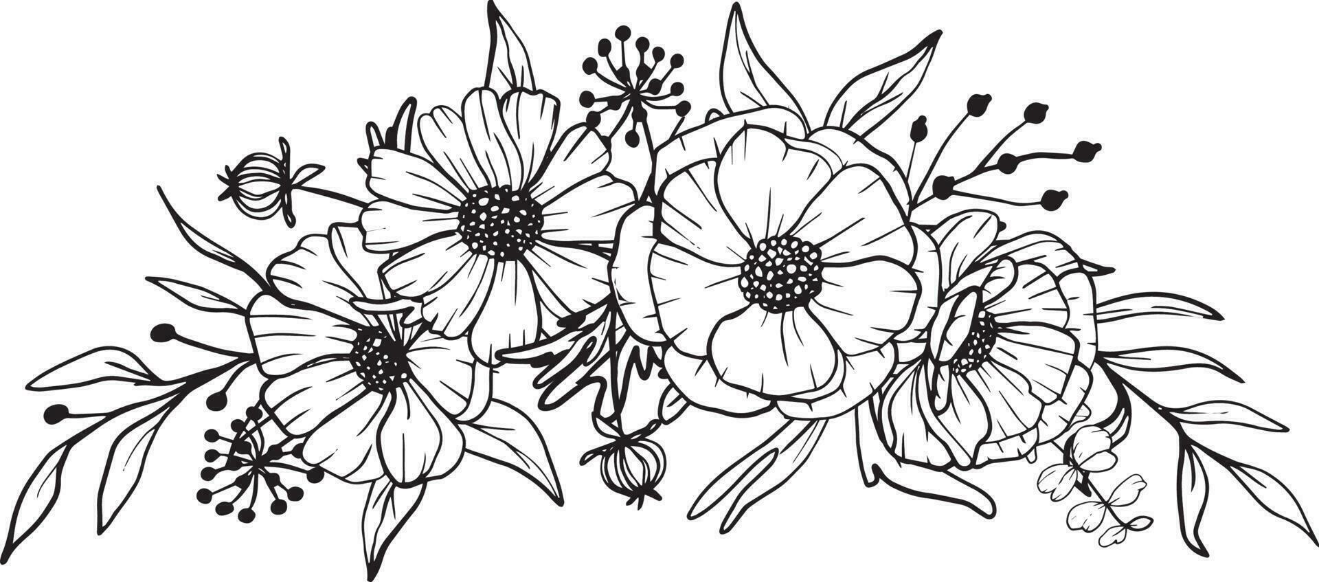 isolated daisy line art floral clipart vector
