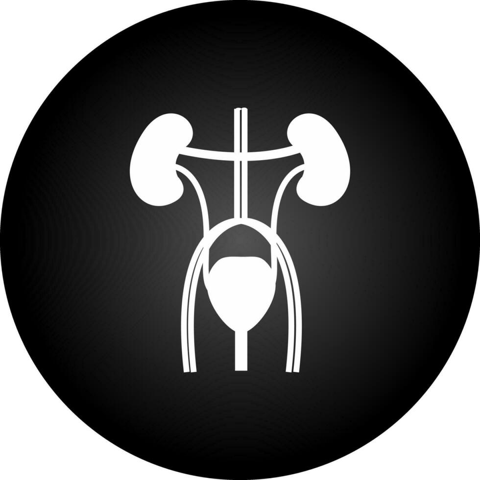 Excretory Vector Icon