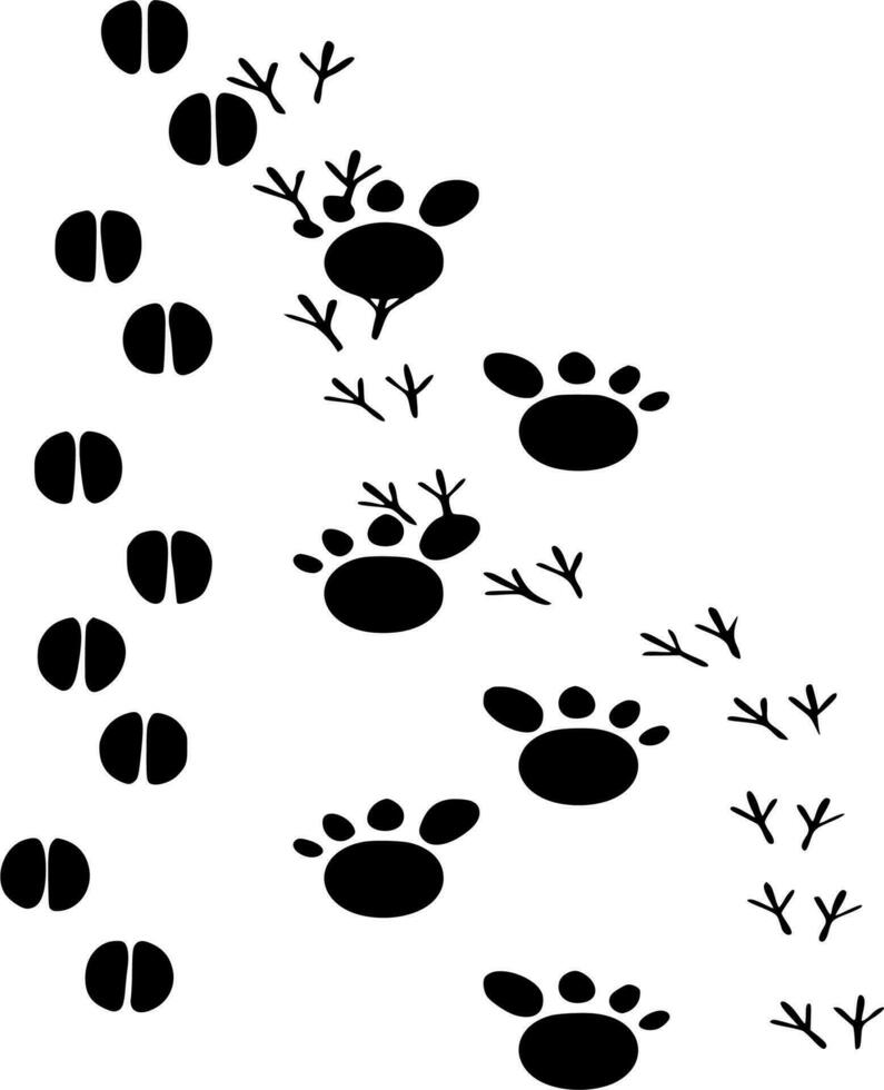 Vector silhouette of footprints on white background