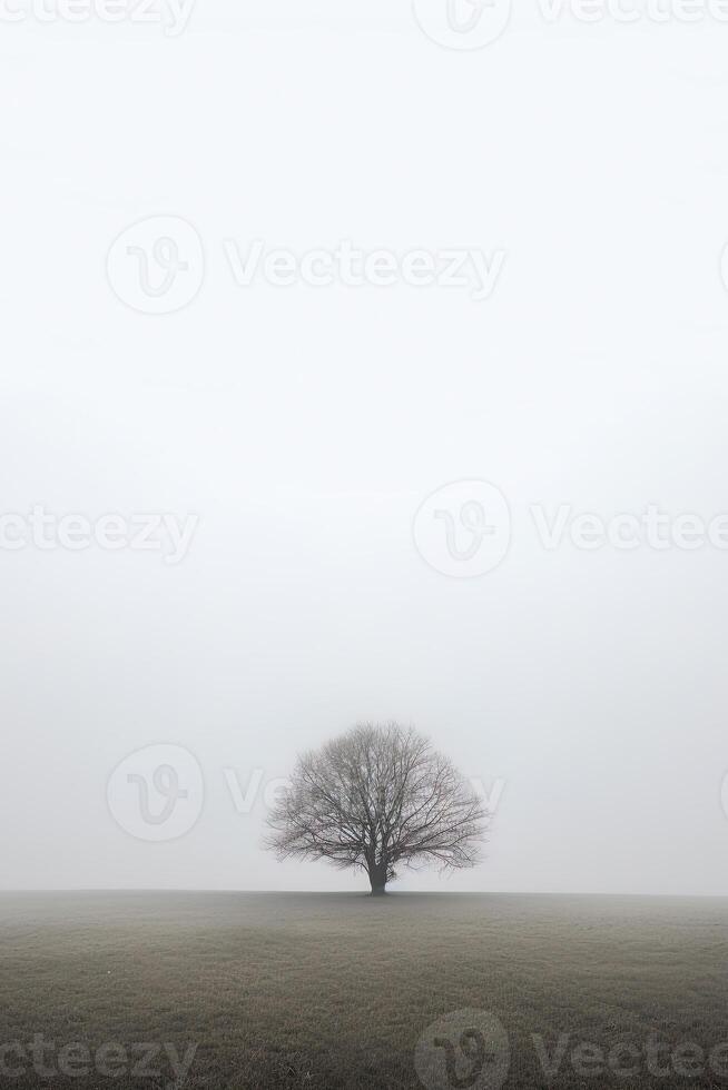 a lone tree stands alone in a foggy field with copy space for text. photo