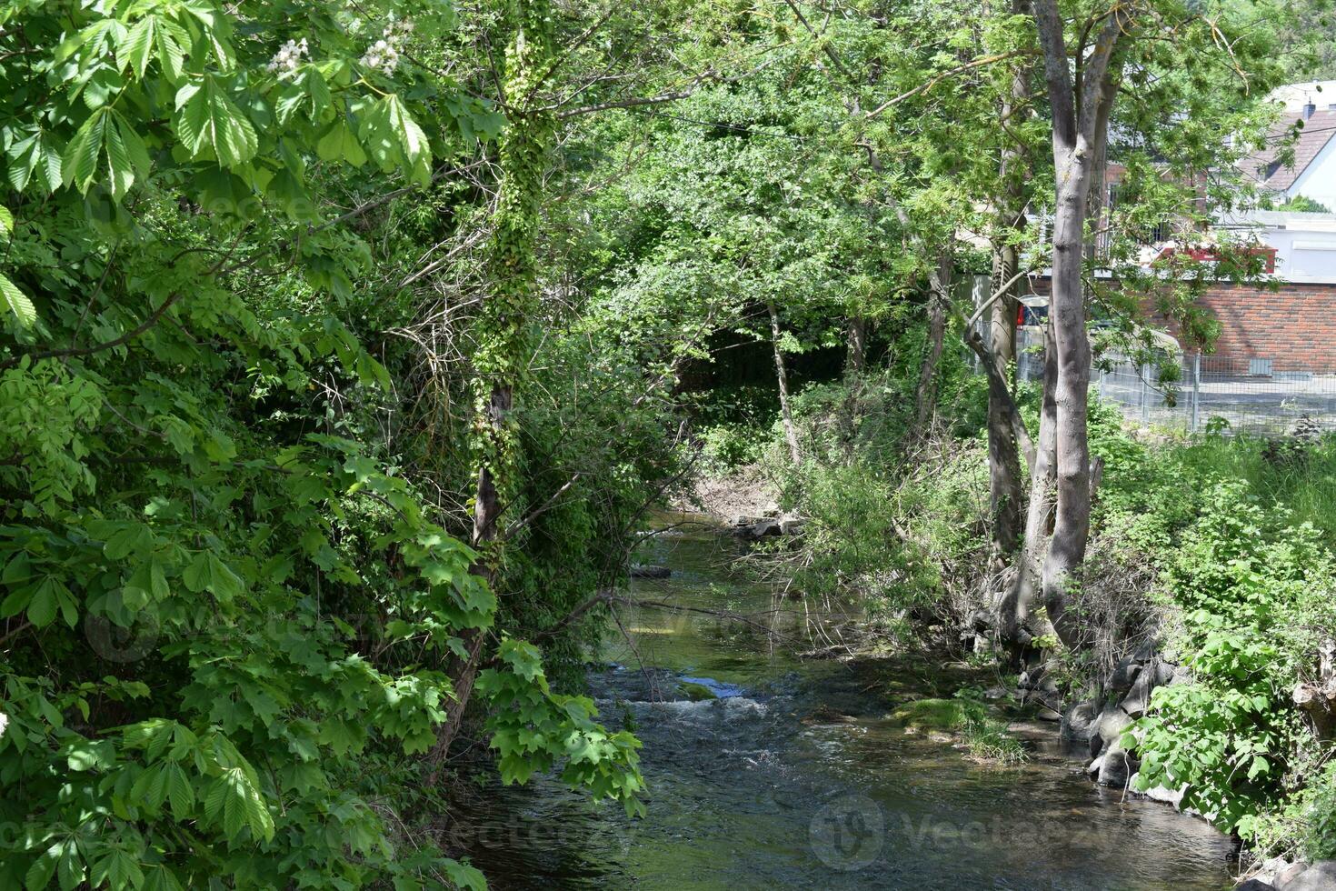 Idyllic little River photo