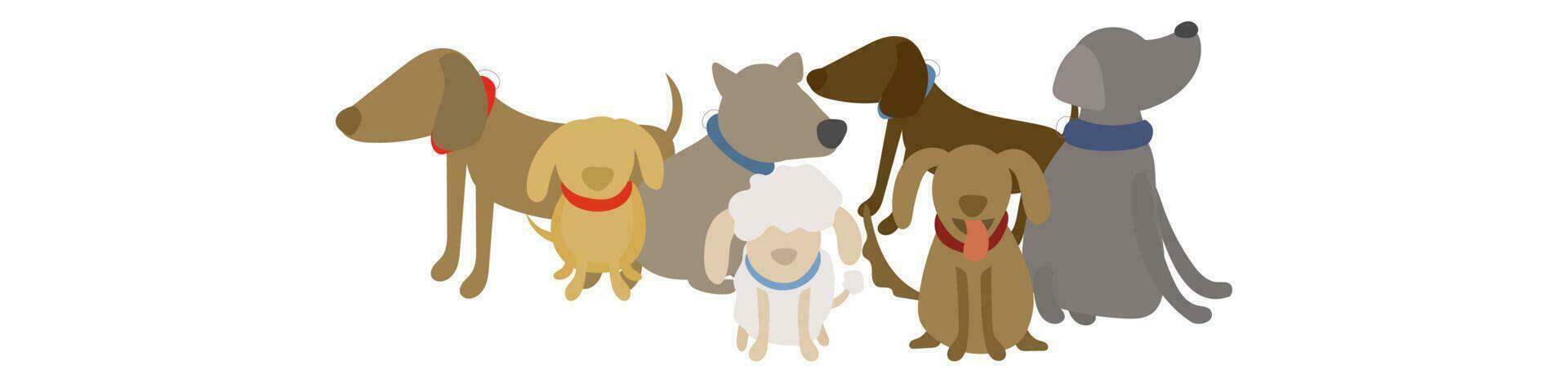 linda perros plano vector colocar. dibujos animados perro o perrito caracteres diseño colección con plano color en diferente posa conjunto de gracioso mascota animales aislado en blanco antecedentes.