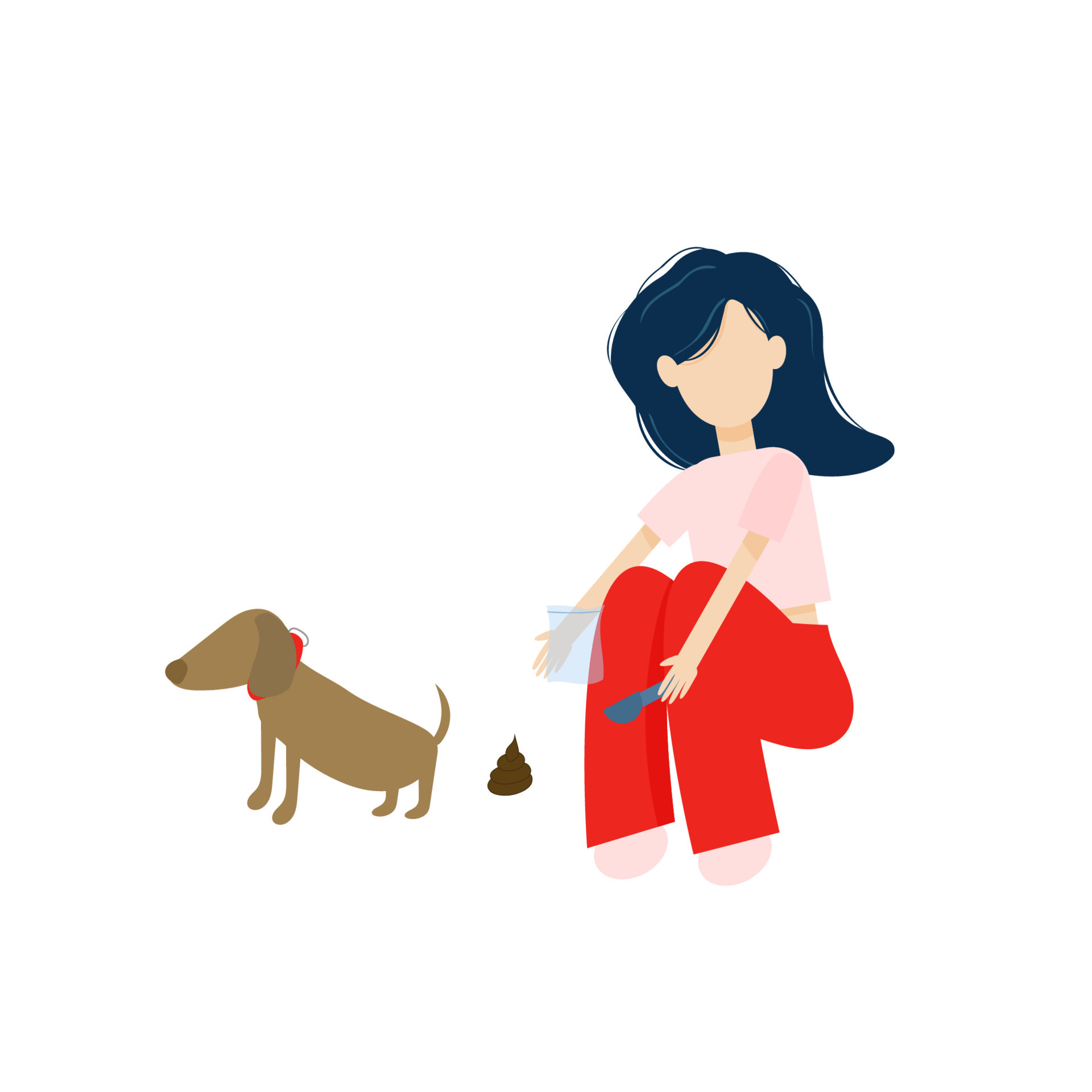 Girl cleans up after her dog, cleaning up after animals, woman walks a