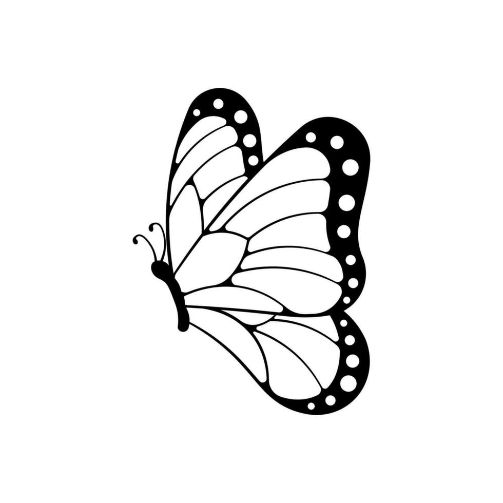 vector de mariposa aislado sobre fondo blanco